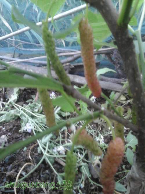 20140415_174353.jpg