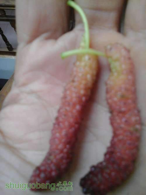 20140417_084014.jpg