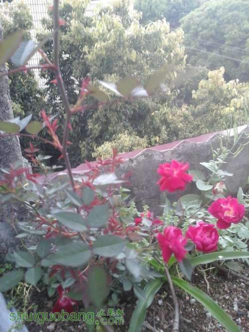 20140415_174432.jpg