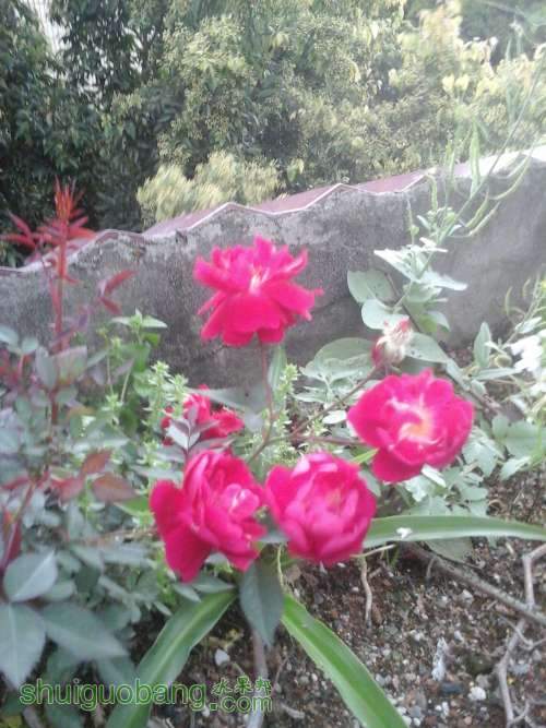 20140415_174413.jpg