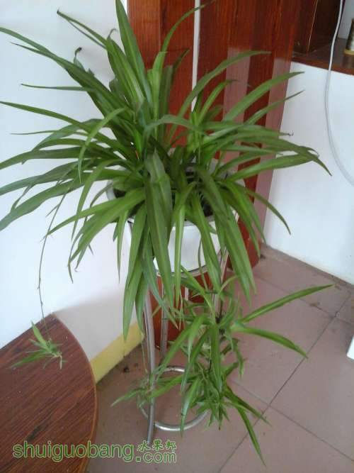 20131130_092840.jpg