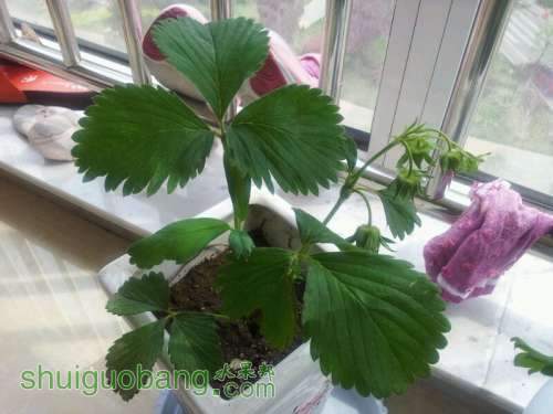 UC_Photo_007.jpg