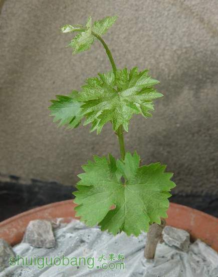 QQͼƬ20140423175725.jpg