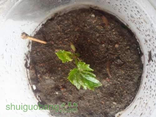 QQͼƬ20140423183628.jpg