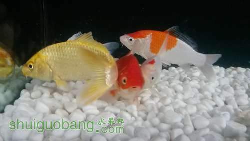 20140423_143614.jpg