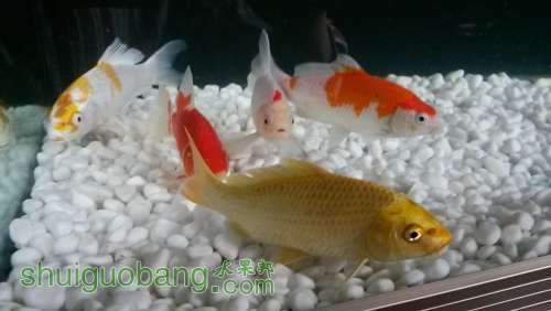 20140423_143644.jpg