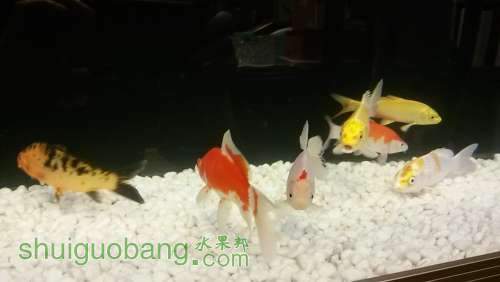 20140423_190552.jpg