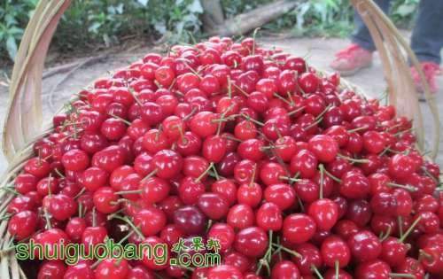 214508p7ygx1j1x48gj2yk[1].jpg