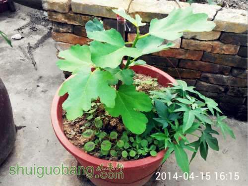 QQͼƬ20140416193143.jpg