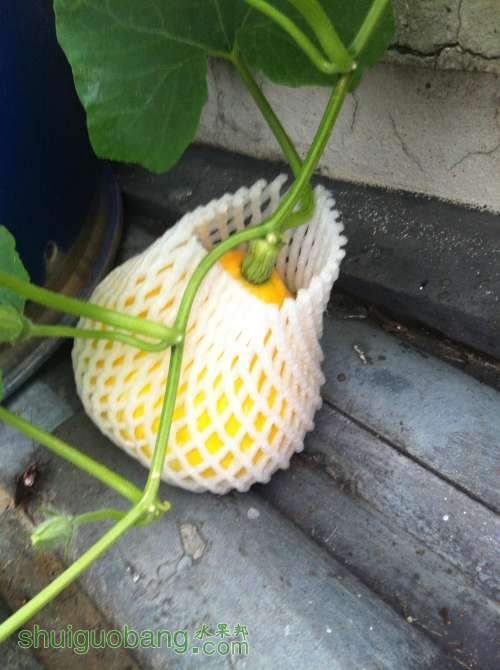 2014-04-22 181316.jpg