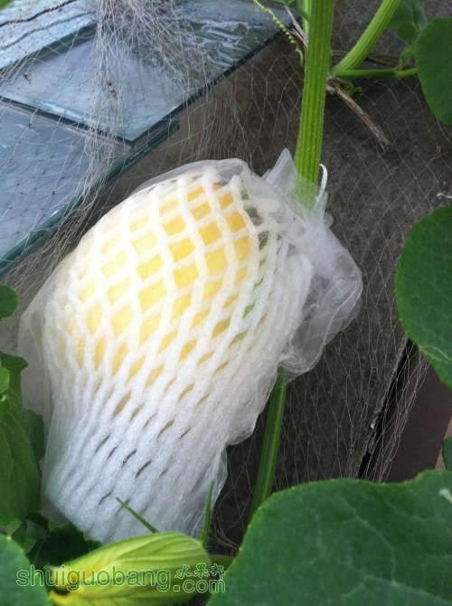 2014-04-22 181328.jpg