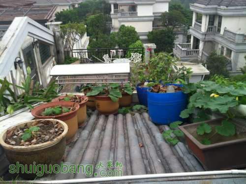 2014-04-22 181428.jpg