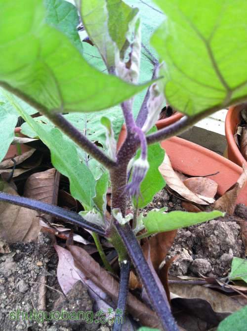 2014-04-25 065440.jpg