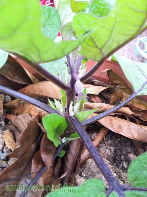 2014-04-25 065446.jpg