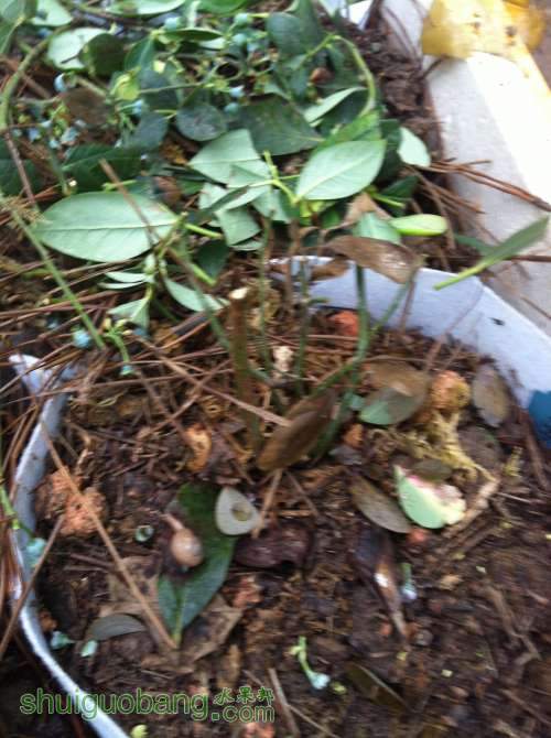 2014-04-25 064949.jpg