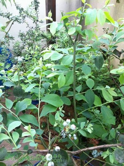 2014-04-25 065045.jpg