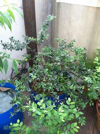 2014-04-25 065819.jpg