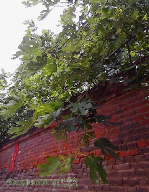 QQͼƬ20140425143801.jpg