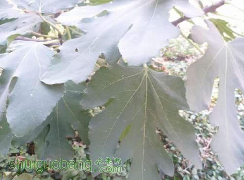 QQͼƬ20140425144542.jpg
