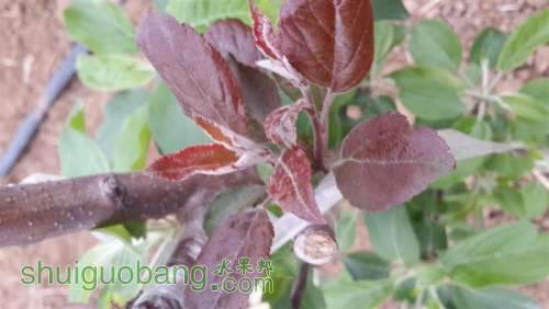 20140421_074706 (����).jpg