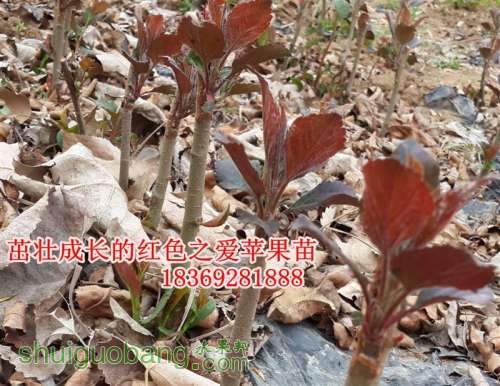 �� (����).jpg