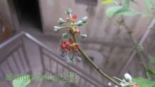IMAG0323.jpg
