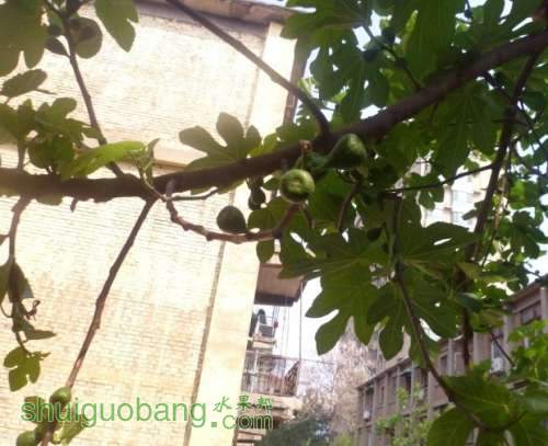 QQͼƬ20140426085743.jpg