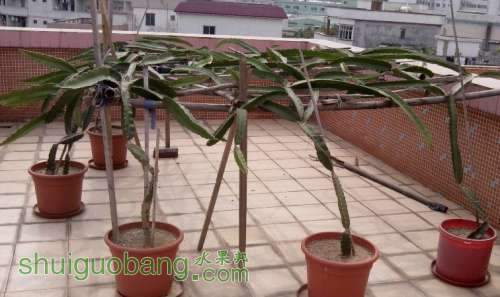 QQͼƬ20140426100200.jpg