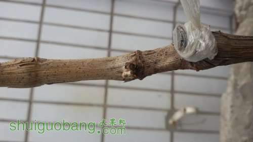 20140426_ѿ.jpg