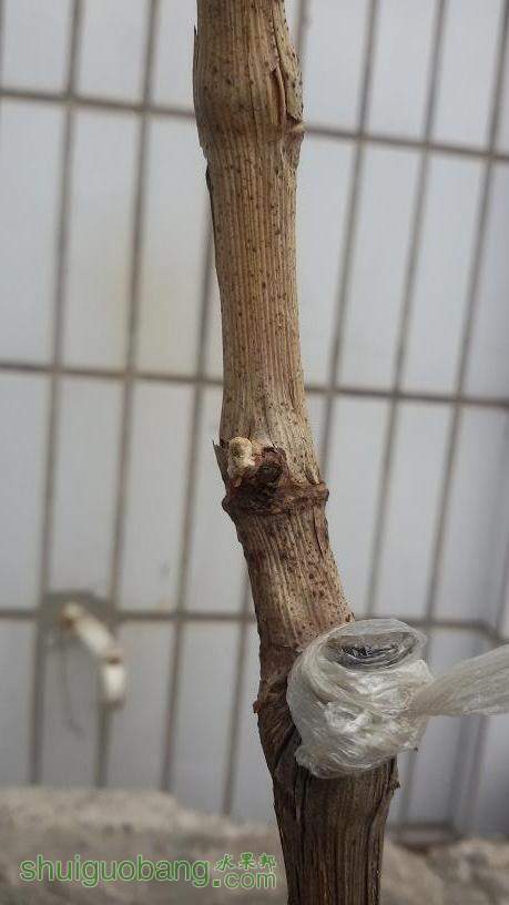 20140426_ѿ.jpg