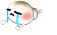 10.gif