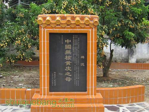 134261QZ-5J9[1].jpg