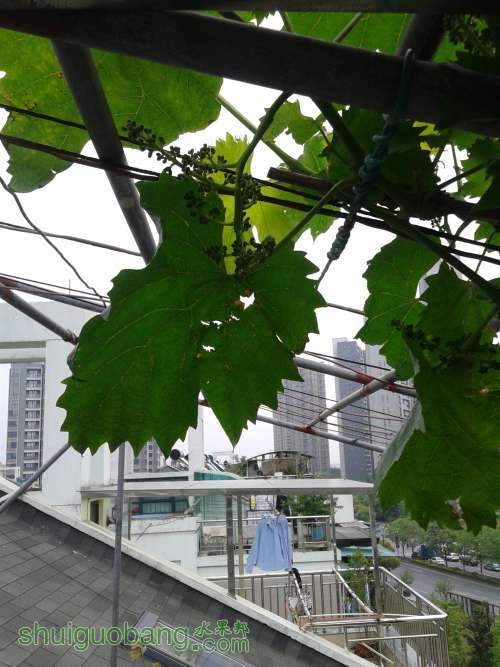 20140424_122424.jpg