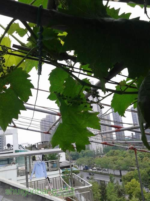 20140424_122428.jpg