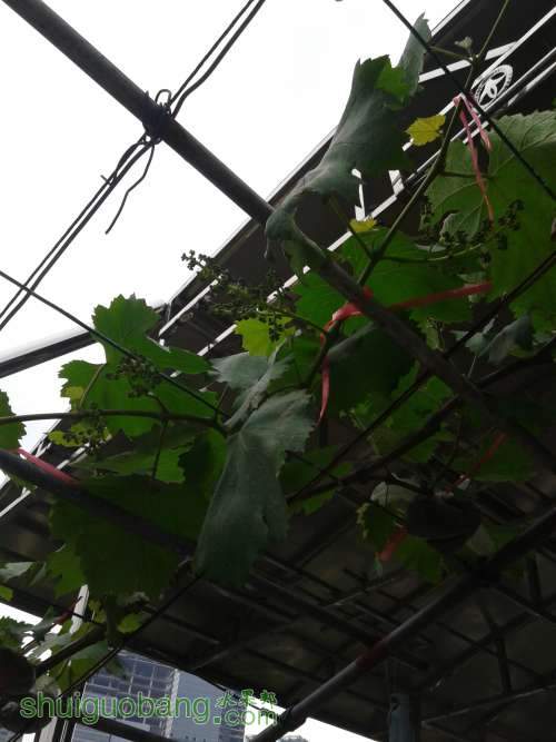 20140424_122511.jpg