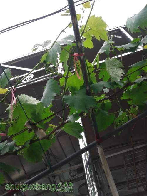 20140424_122515.jpg