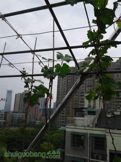 20140424_122522.jpg