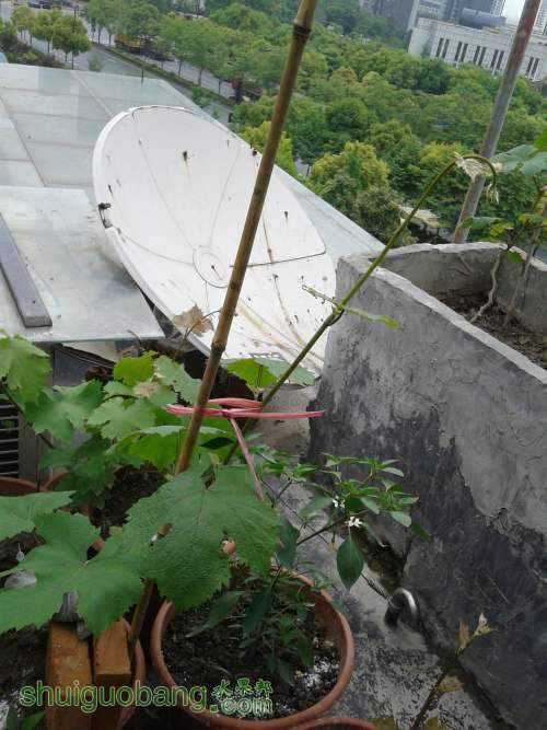 20140424_122527.jpg