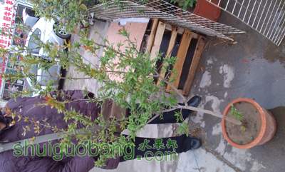 IMG_20140427140850.jpg