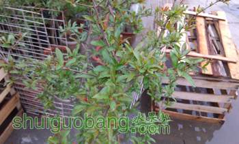 IMG_20140427140821.jpg