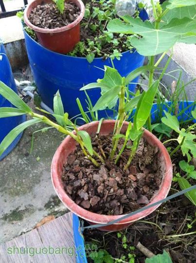 2014-04-26 093106.jpg