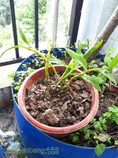 2014-04-26 093125.jpg