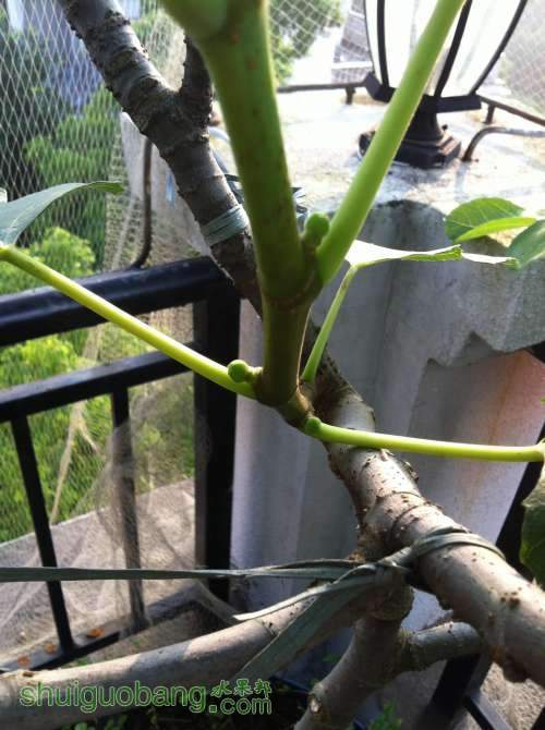 2014-04-27 070610.jpg
