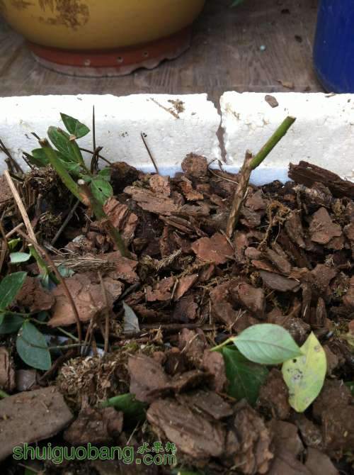 2014-04-26 092420.jpg