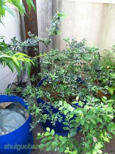 2014-04-26 093230.jpg