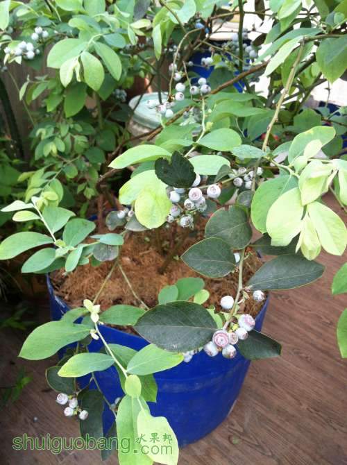 2014-04-26 093246.jpg