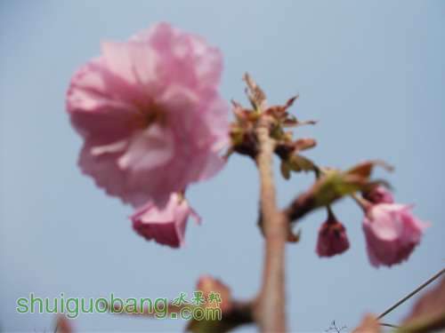 Ƭ 016.jpg