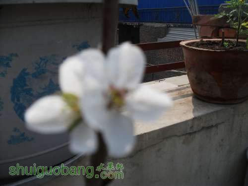 Ƭ 018.jpg