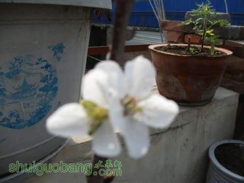 Ƭ 019.jpg