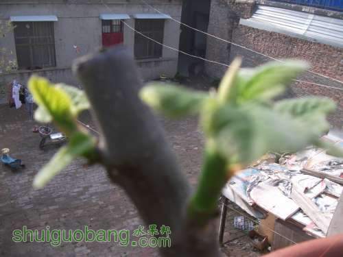 Ƭ 045.jpg